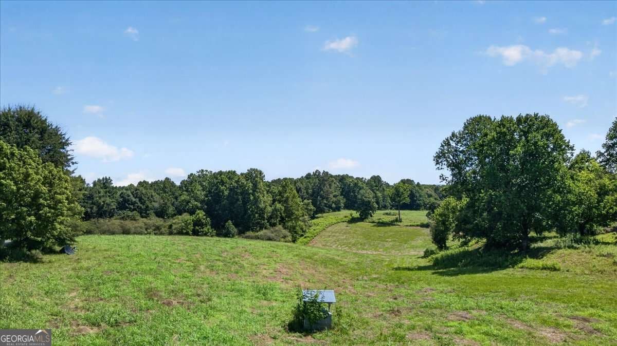 agriculture for sale at 0 Highway 53, Jasper, GA 30143 — photo 7