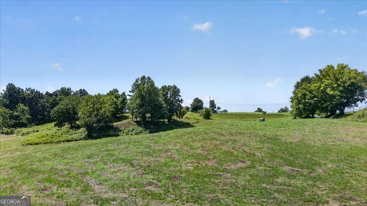 agriculture for sale at 0 Highway 53, Jasper, GA 30143 — photo 9