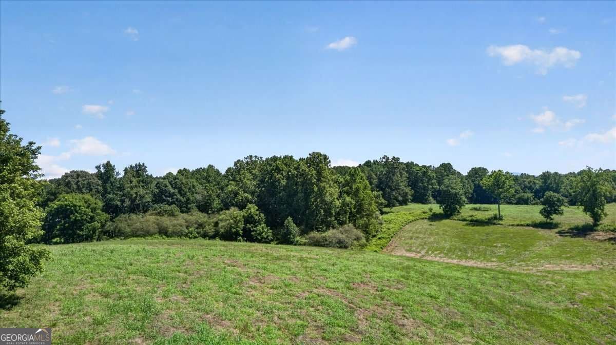 agriculture for sale at 0 Highway 53, Jasper, GA 30143 — photo 8