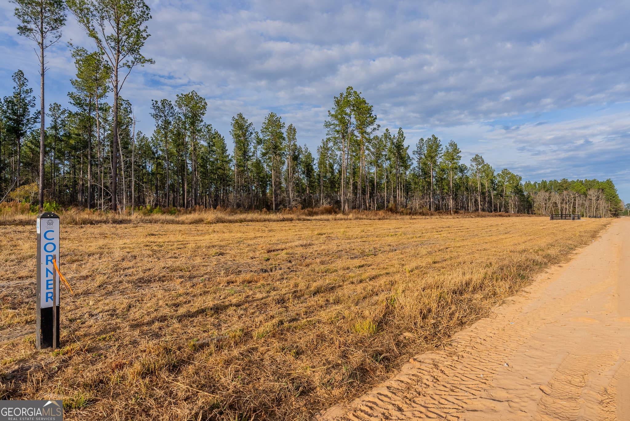 agriculture for sale at LOT 5 Arcola Road, Brooklet, GA 30415 — photo 2