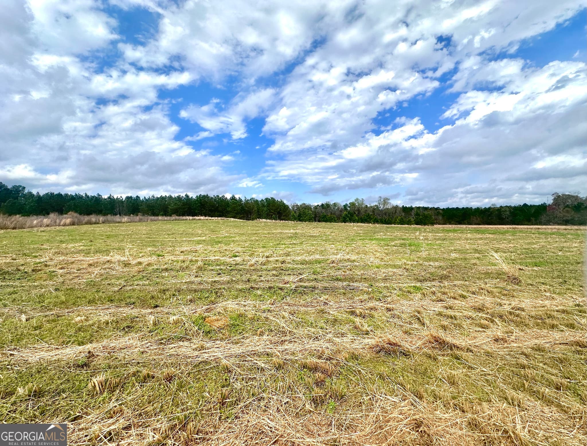 3167 JASON FRANKLIN Road, Register, GA 30452 — most recent listing photo