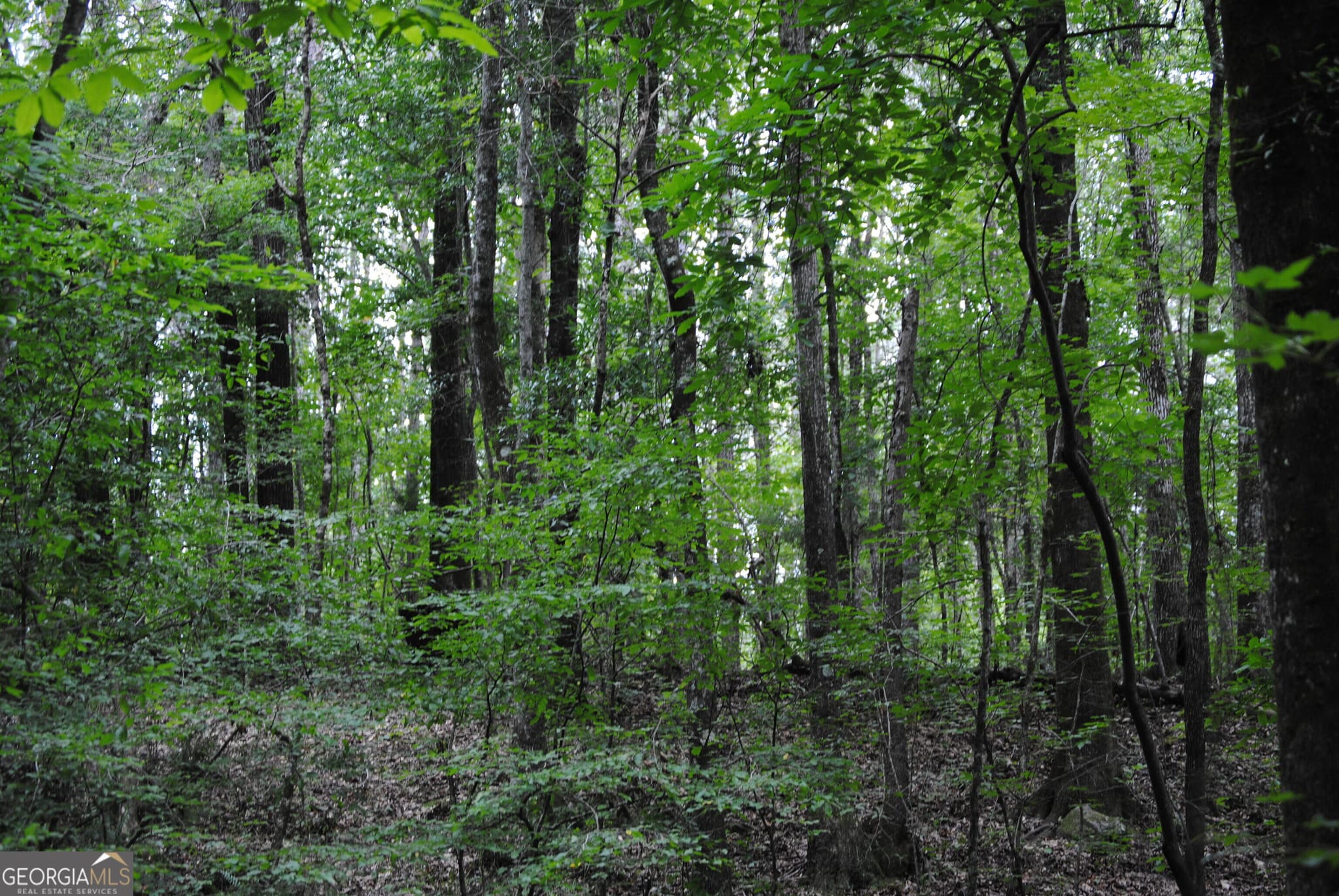 residential lot for sale at 4509 Sr 18 Highway, West Point, GA 31833 — photo 2