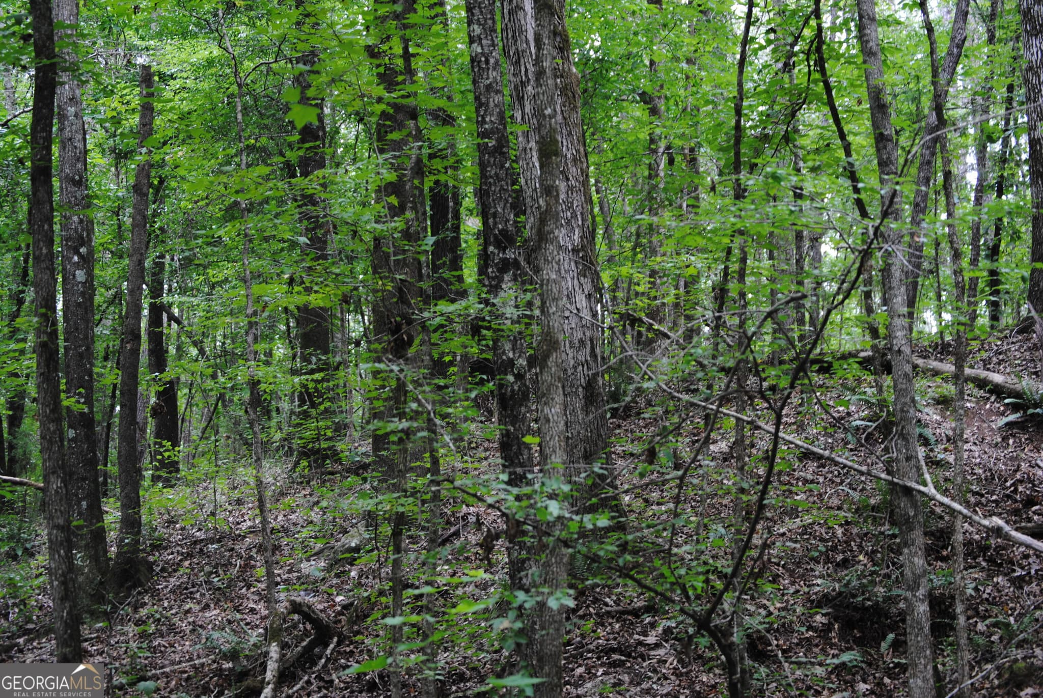 residential lot for sale at 4509 Sr 18 Highway, West Point, GA 31833 — photo 1 of 6