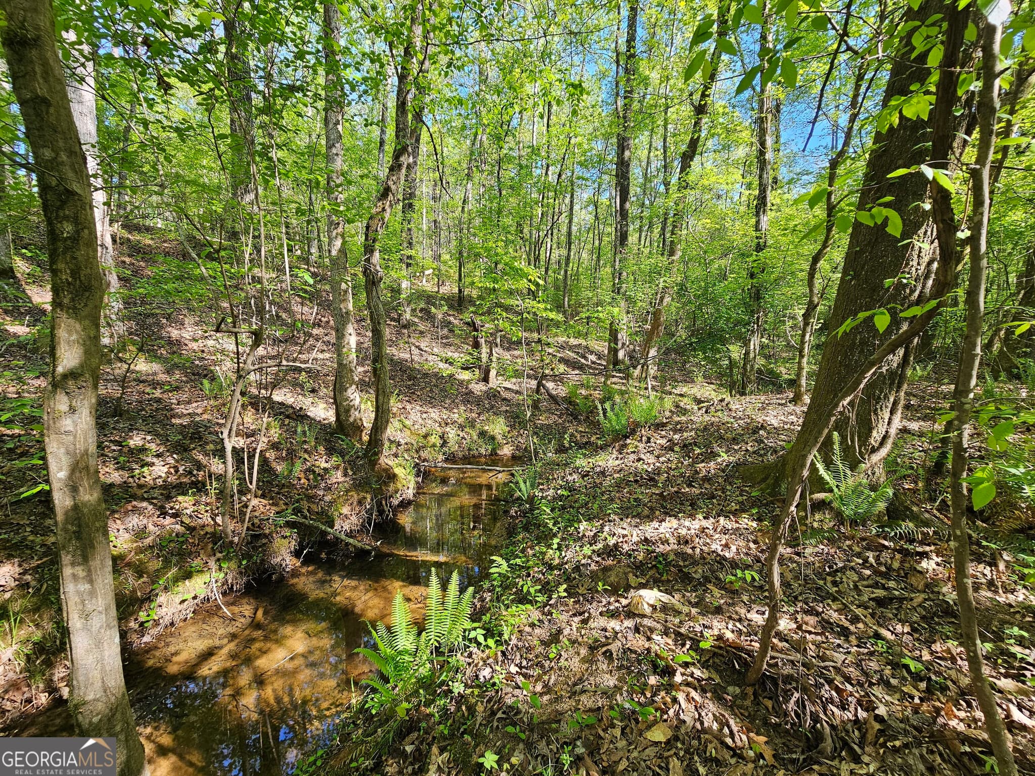 residential lot for sale at 4509 Sr 18 Highway, West Point, GA 31833 — photo 5
