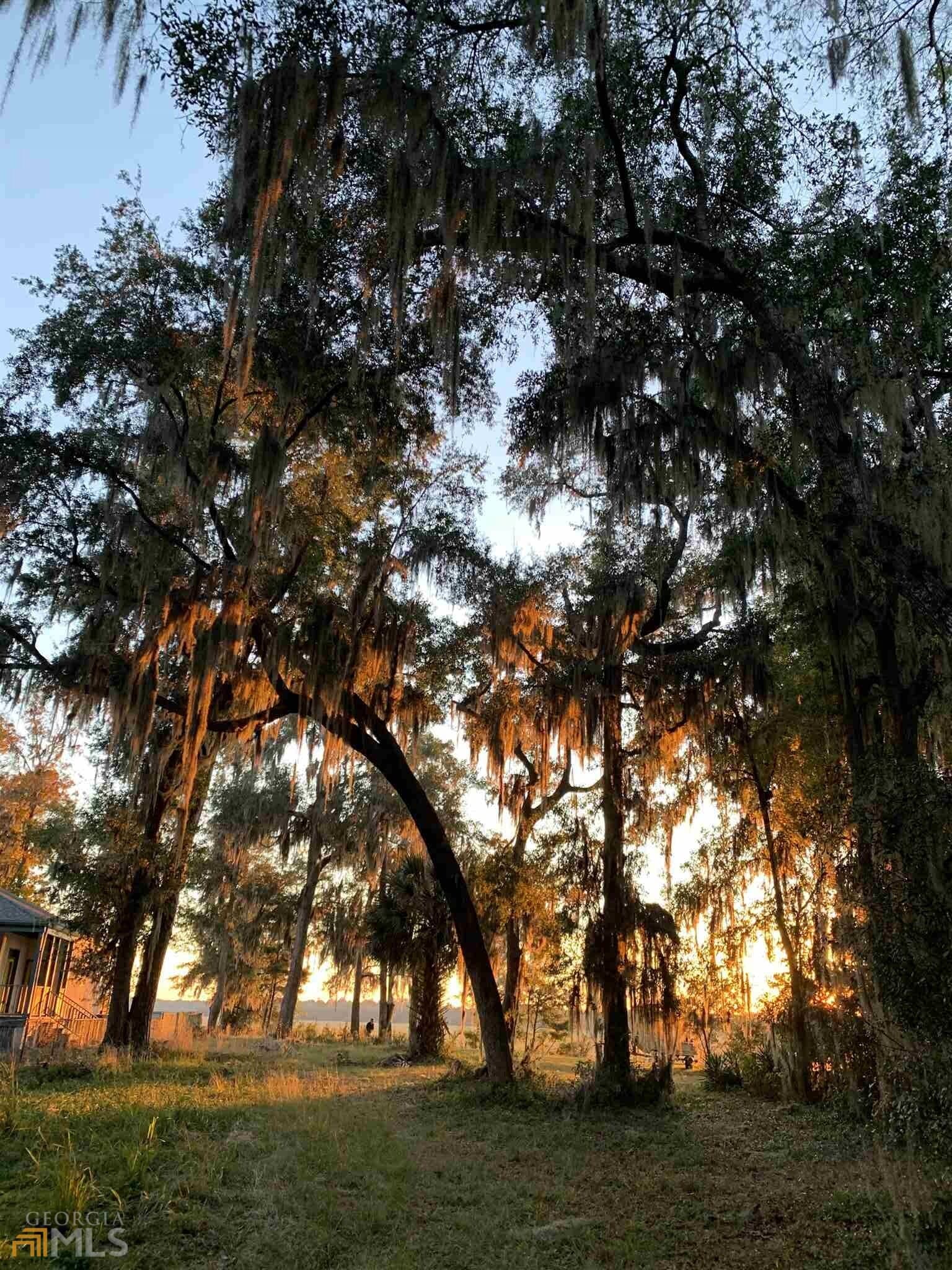residential lot for sale at 0 Julienton Drive 77, Townsend, GA 31331 — photo 9