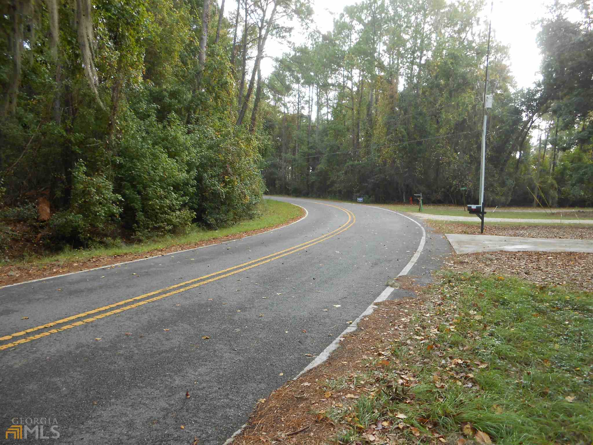 residential lot for sale at 0 Julienton Drive 77, Townsend, GA 31331 — photo 8