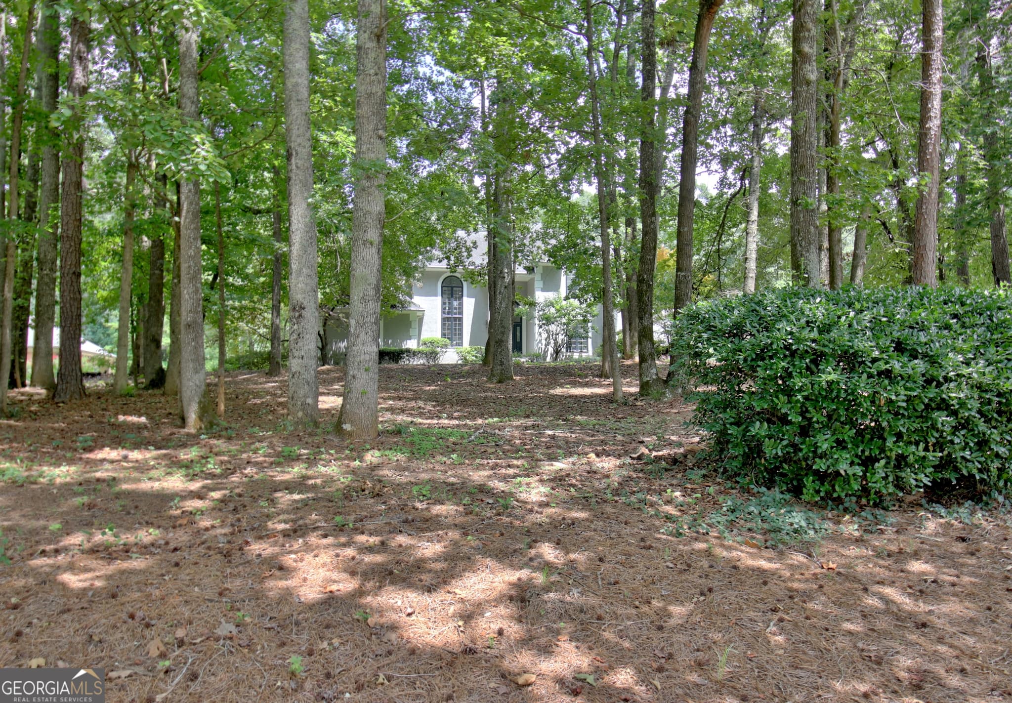 5 bedroom, 4 bathroom, 5,233 sq ft single family residence for sale at 8554 Shoreline Drive, Jonesboro, GA 30236 — photo 3