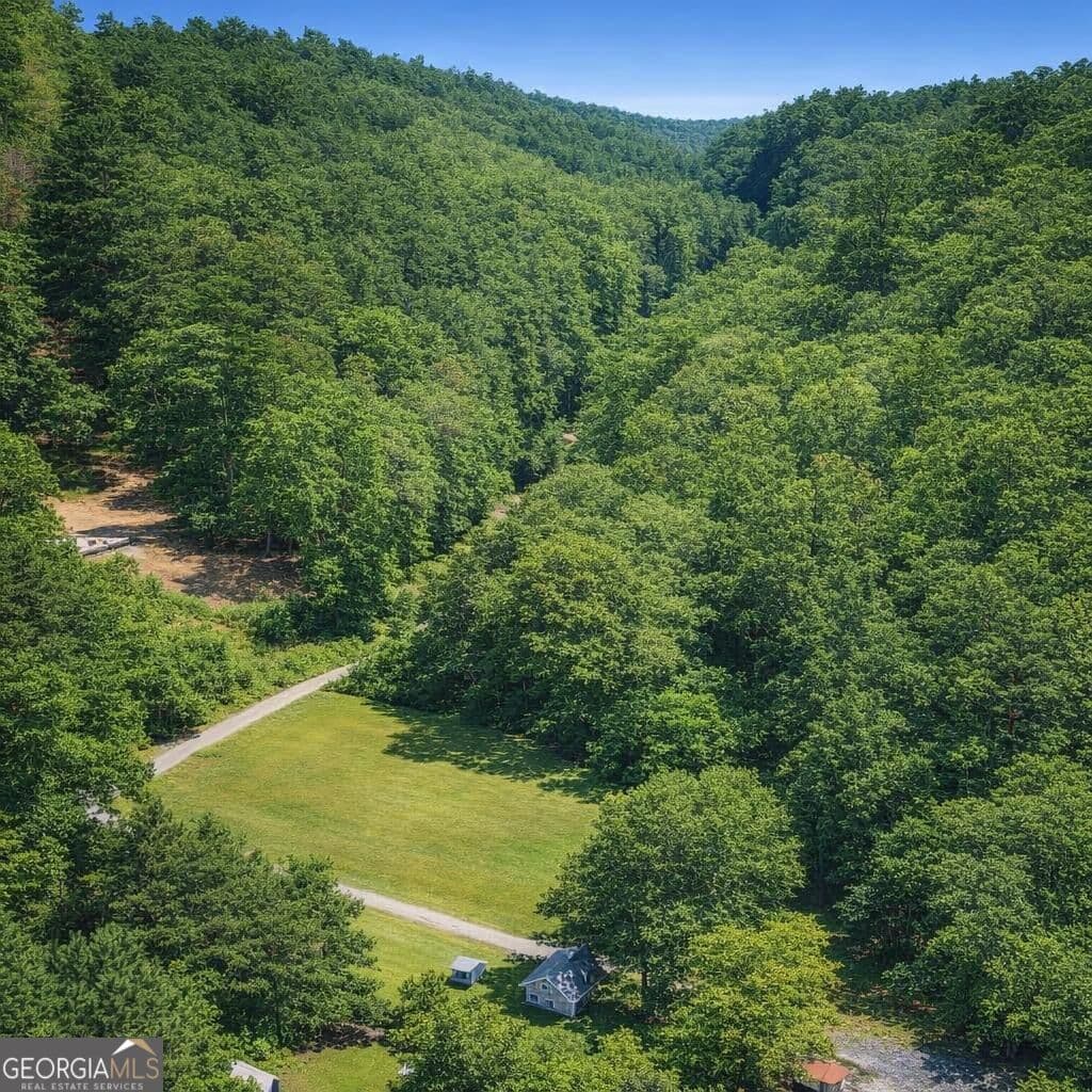agriculture for sale at 0 S Steel Bridge Road, Eatonton, GA 31024 — photo 2