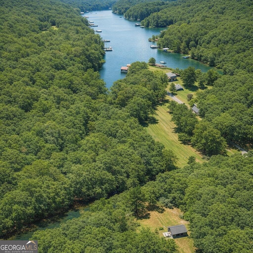 agriculture for sale at 0 S Steel Bridge Road, Eatonton, GA 31024 — photo 4