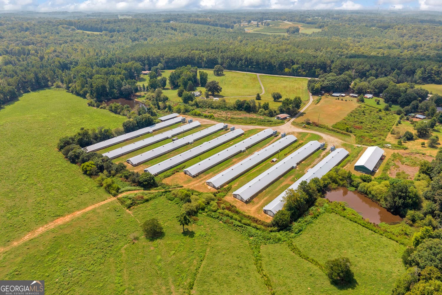 agriculture for sale at 7668 Mud Creek Road, Alto, GA 30510 — photo 4