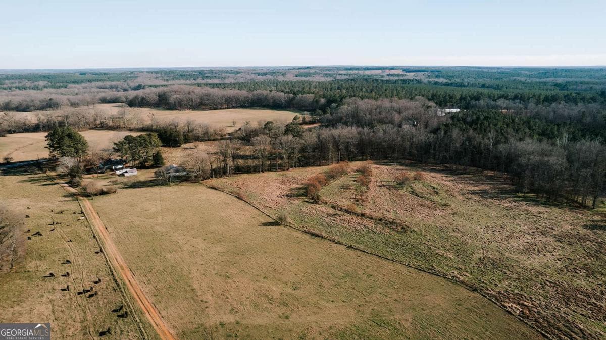 agriculture for sale at 0 Ralph Bridges Road, Lexington, GA 30648 — photo 2