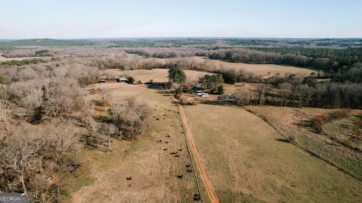 agriculture for sale at 0 Ralph Bridges Road, Lexington, GA 30648 — photo 3