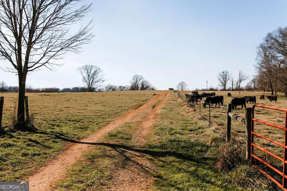 agriculture for sale at 0 Ralph Bridges Road, Lexington, GA 30648 — photo 9