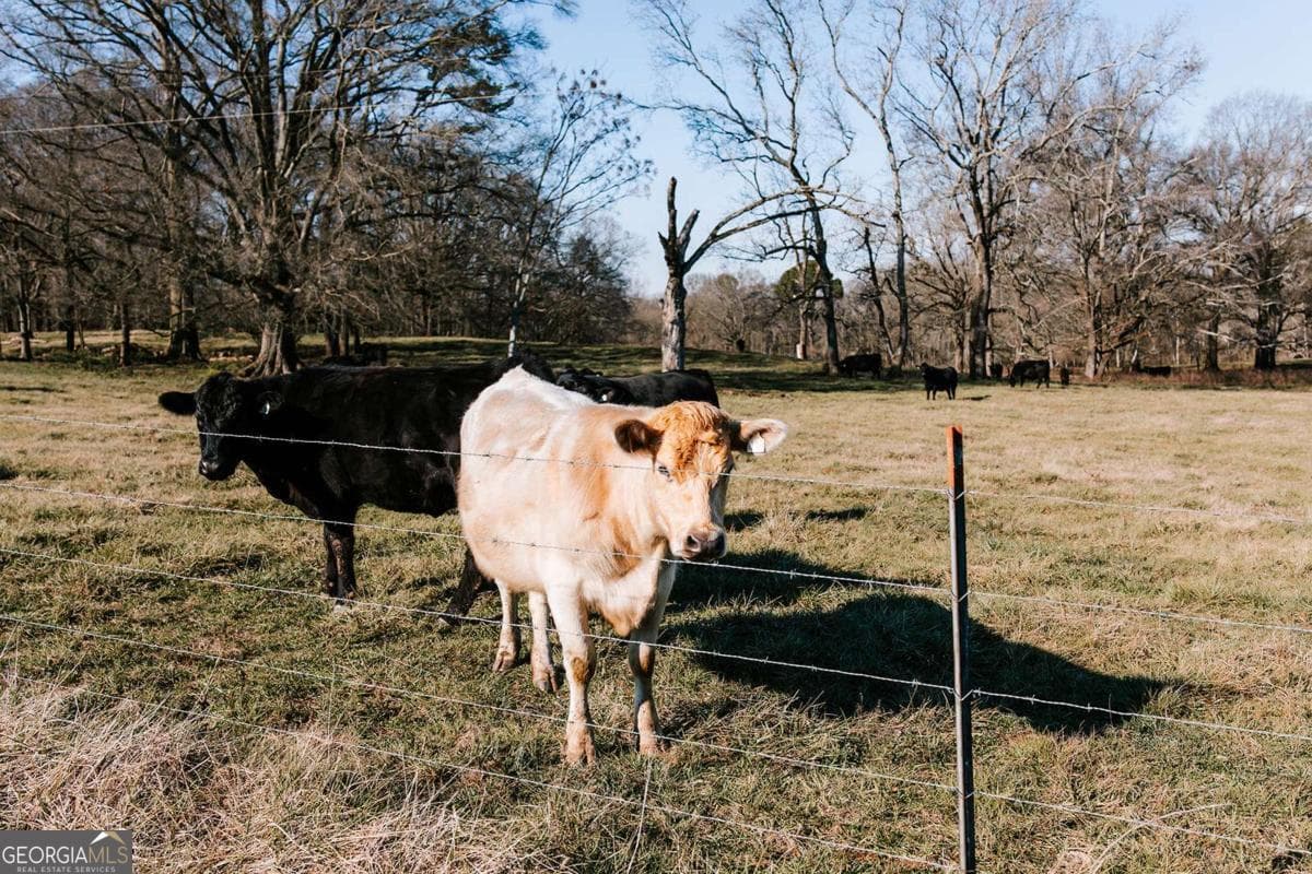 agriculture for sale at 0 Ralph Bridges Road, Lexington, GA 30648 — photo 10