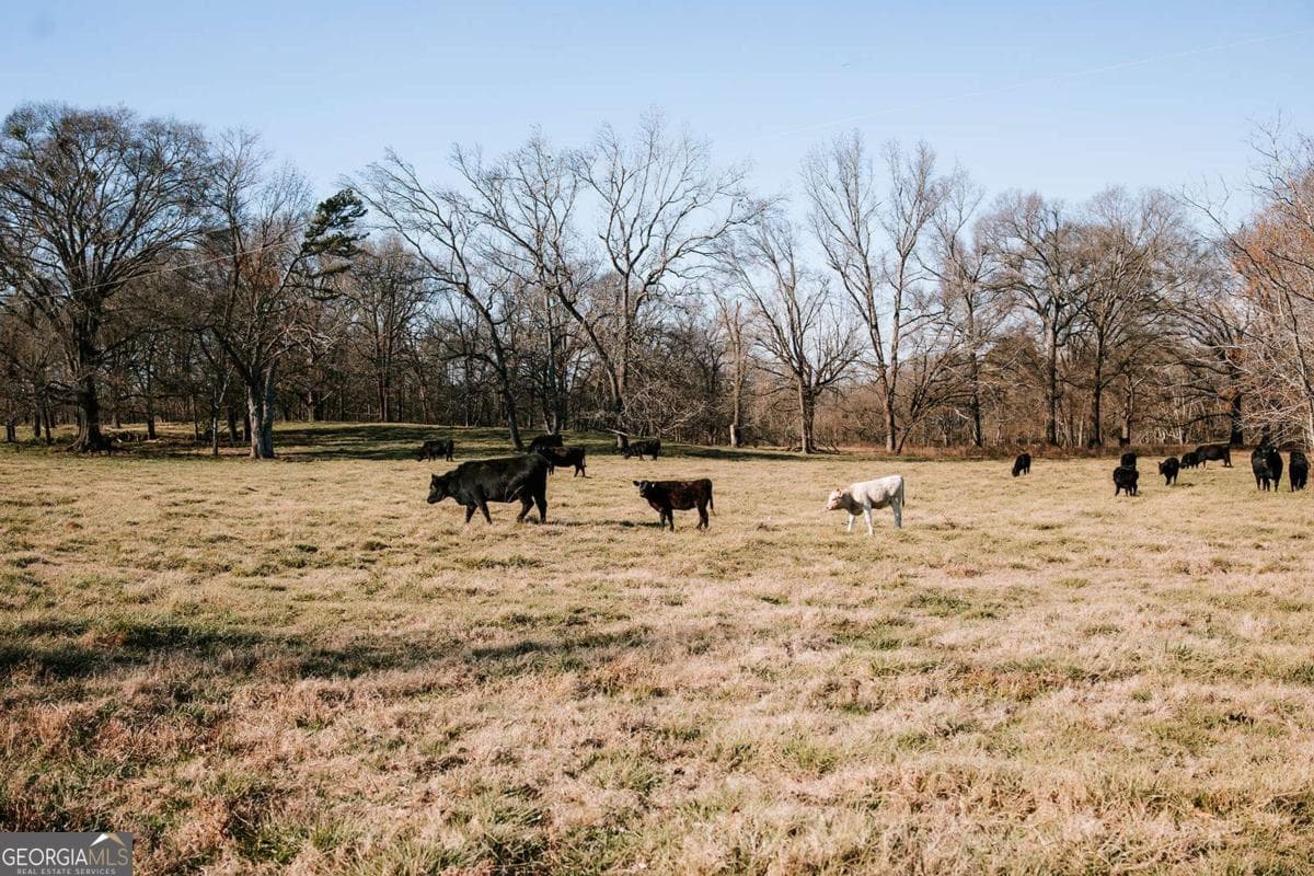 agriculture for sale at 0 Ralph Bridges Road, Lexington, GA 30648 — photo 8