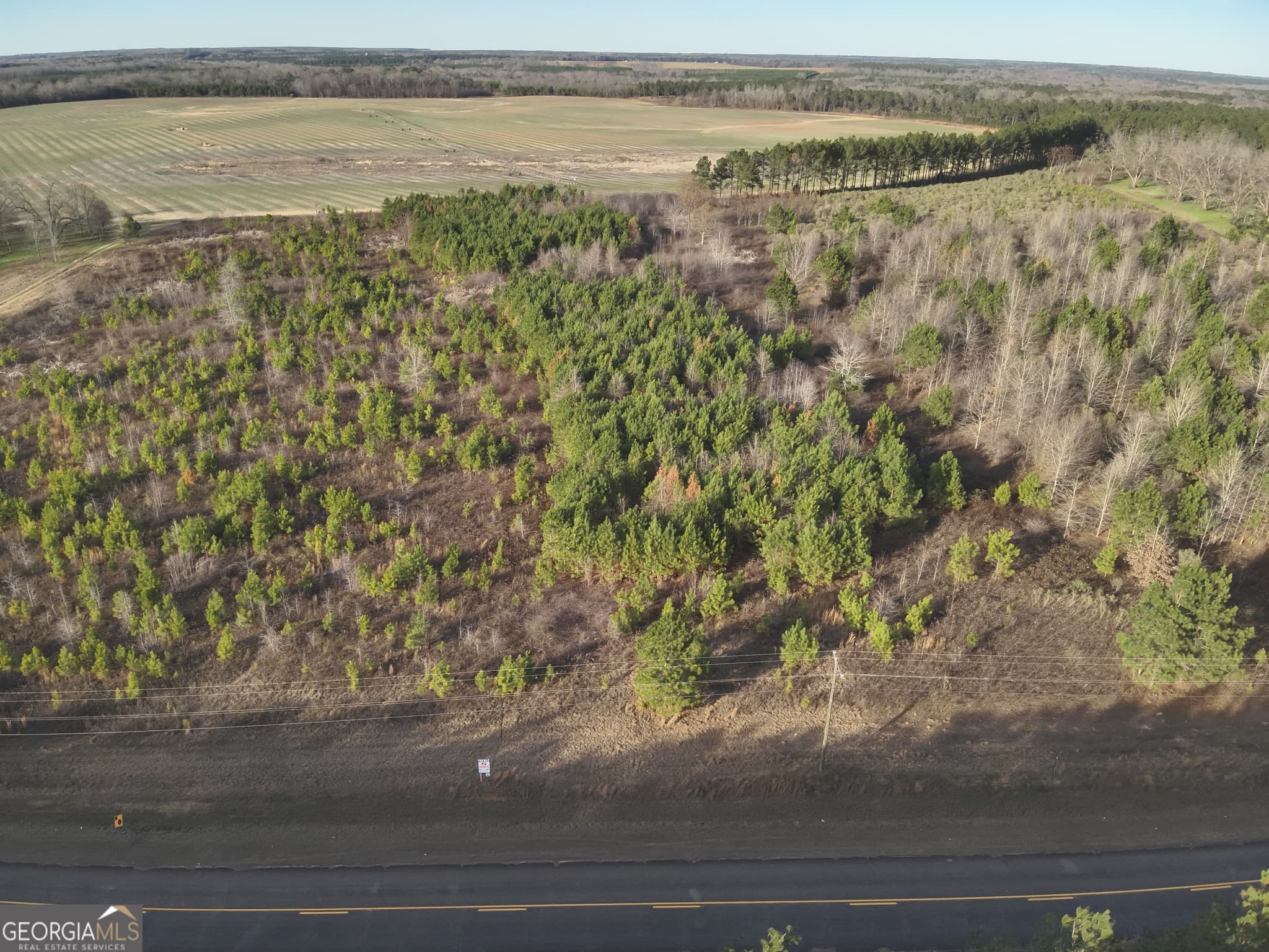 residential lot for sale at 4 N County Line Road, Elko, GA 31025 — photo 2