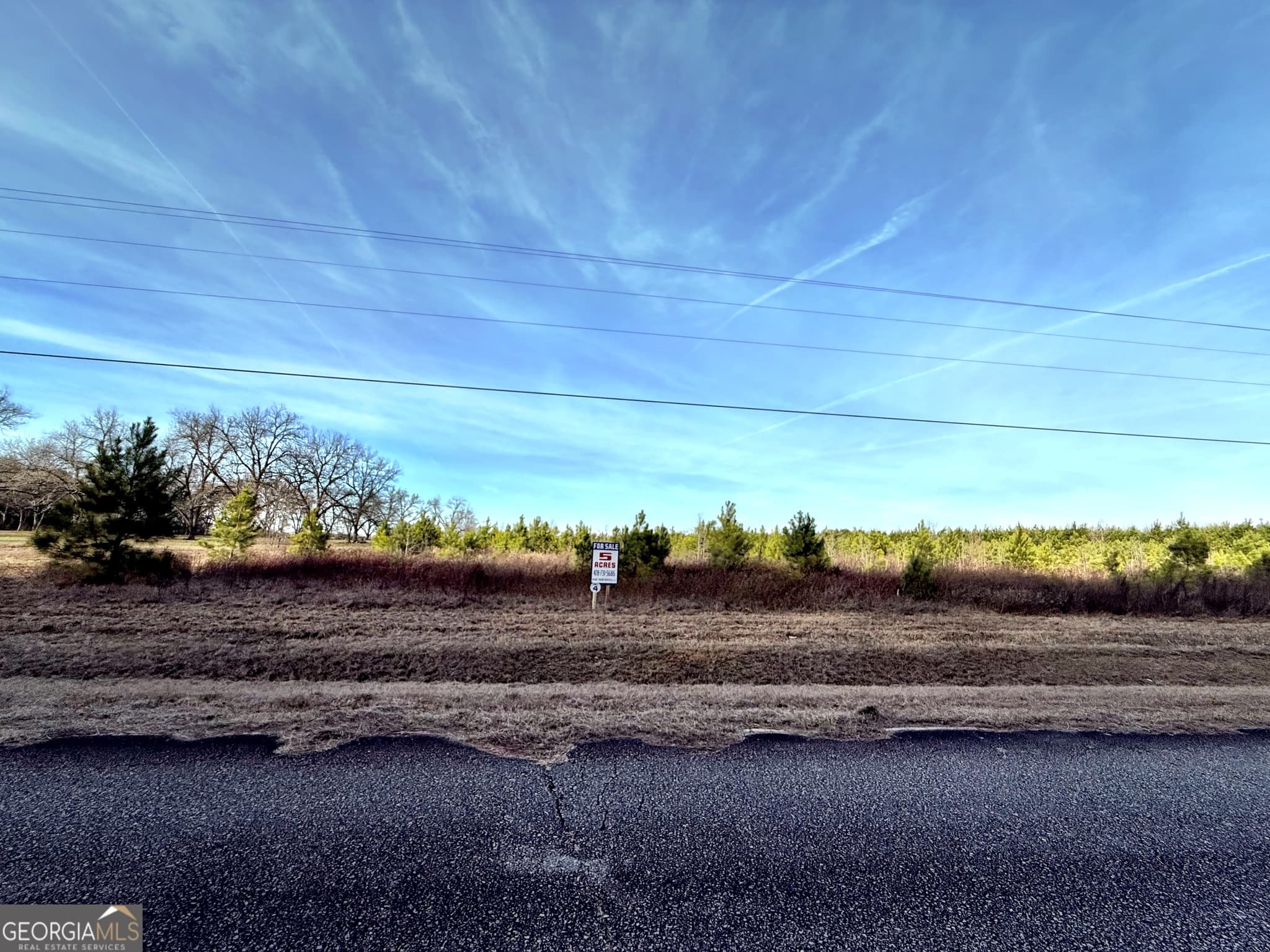 residential lot for sale at 4 N County Line Road, Elko, GA 31025 — photo 3