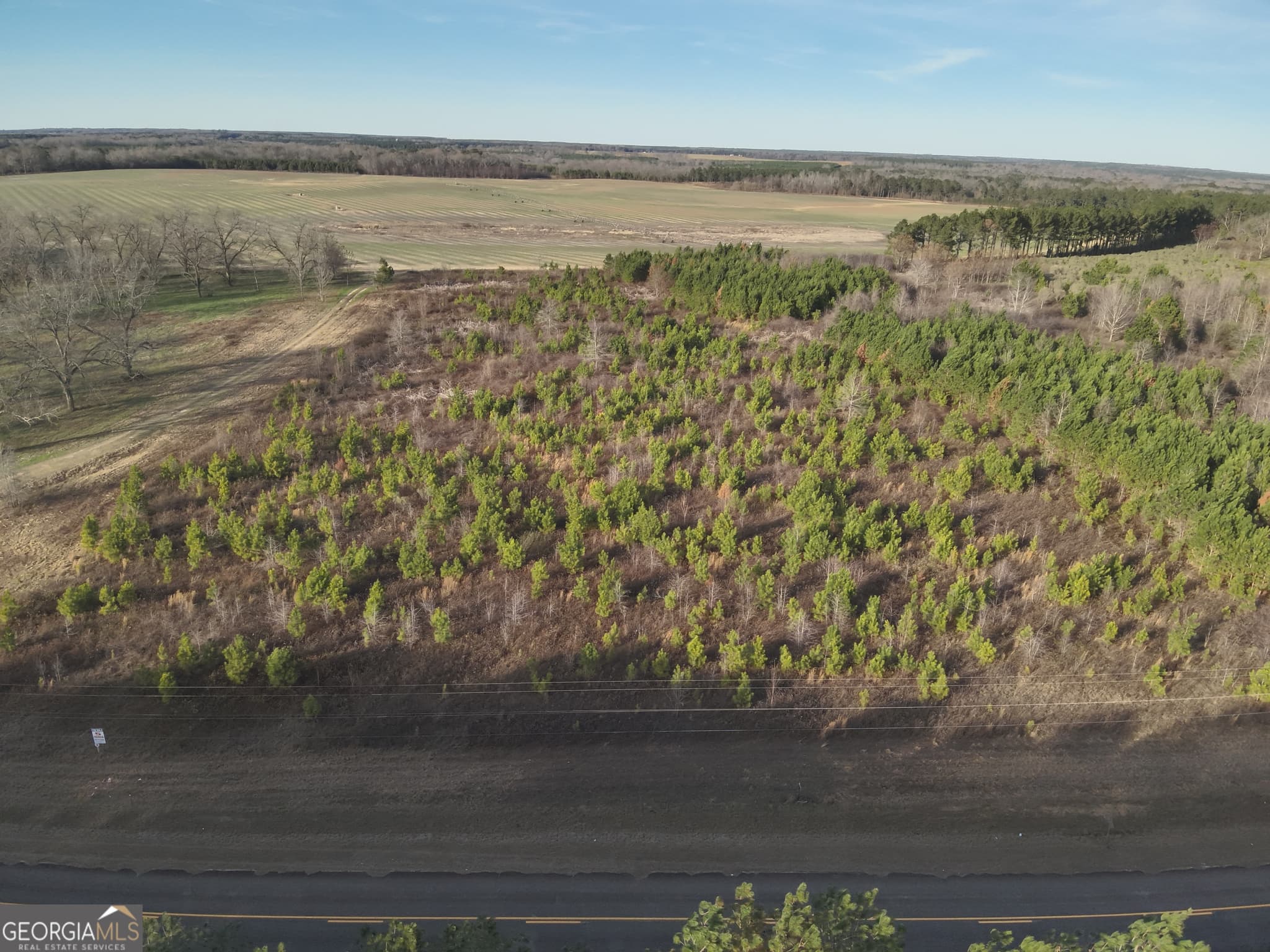 residential lot for sale at 4 N County Line Road, Elko, GA 31025 — photo 1 of 5