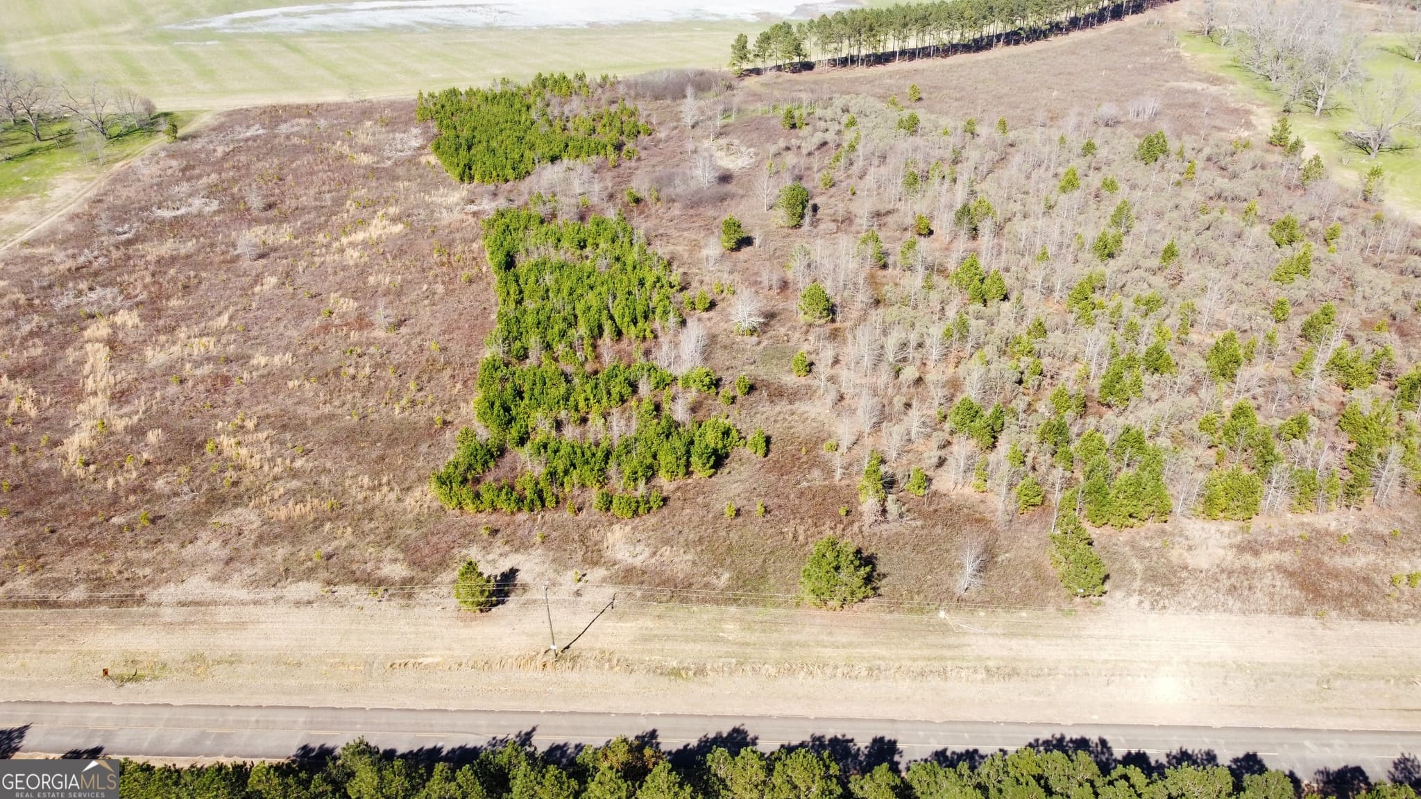 residential lot for sale at 4 N County Line Road, Elko, GA 31025 — photo 5