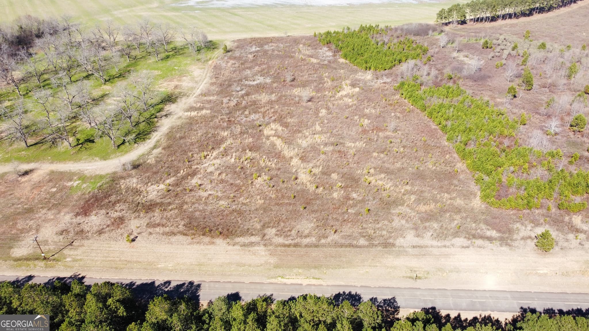 residential lot for sale at 4 N County Line Road, Elko, GA 31025 — photo 4