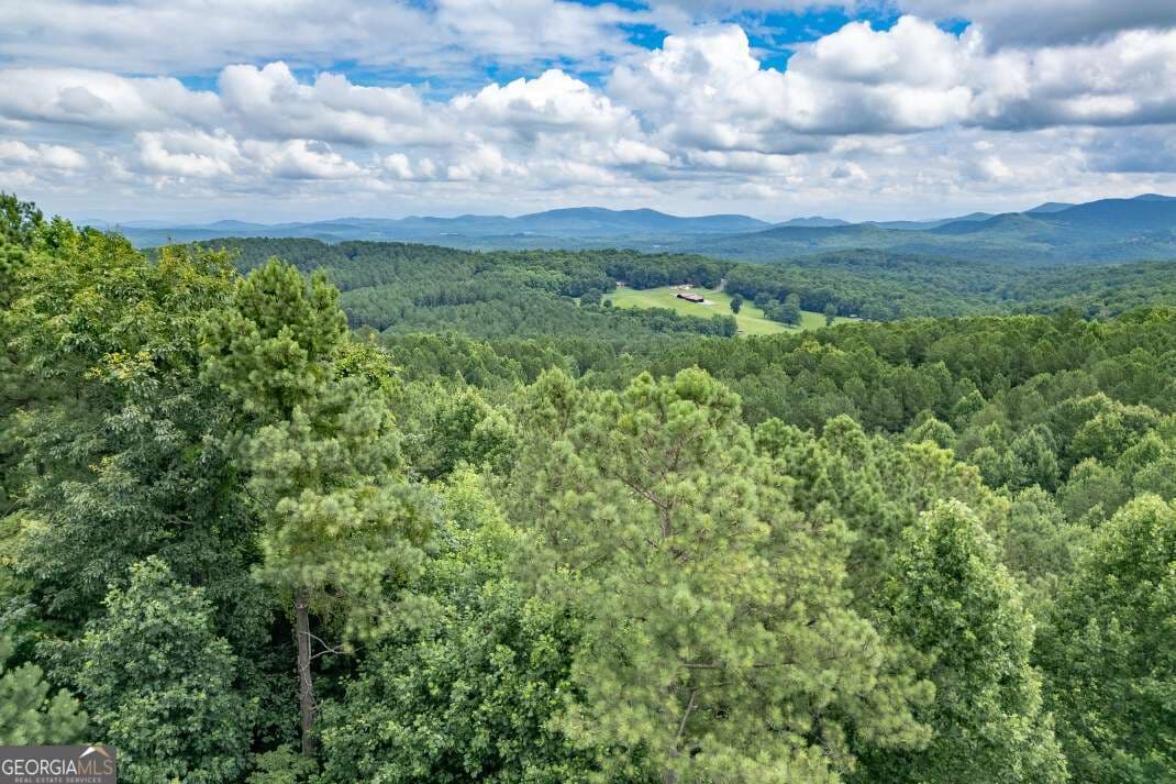 residential lot for sale at LOT 82 Thirteen Hundred, Blairsville, GA 30512 — photo 2