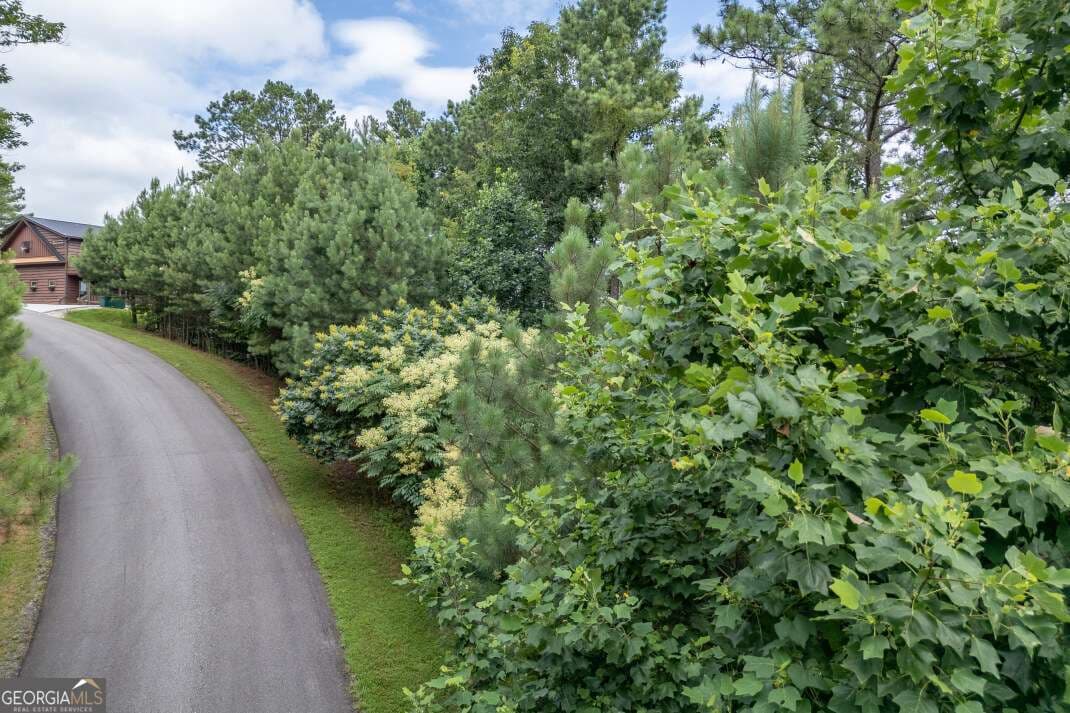 residential lot for sale at LOT 82 Thirteen Hundred, Blairsville, GA 30512 — photo 6