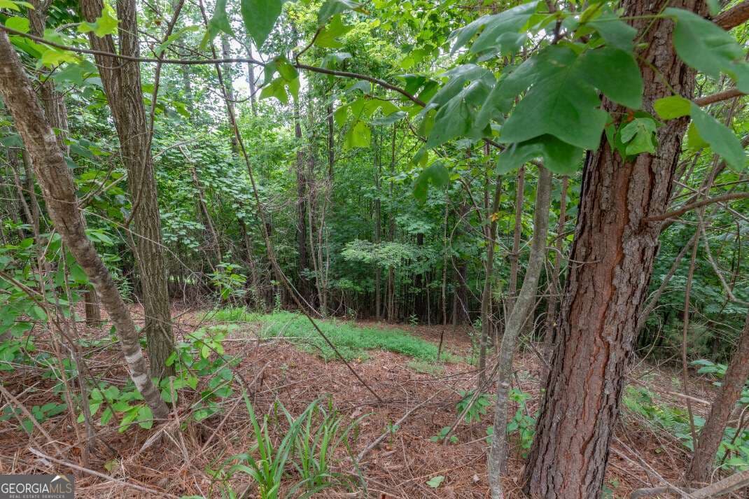 residential lot for sale at LOT 82 Thirteen Hundred, Blairsville, GA 30512 — photo 7