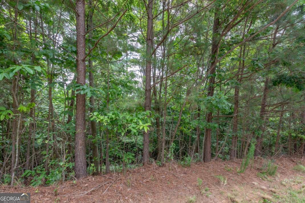 residential lot for sale at LOT 82 Thirteen Hundred, Blairsville, GA 30512 — photo 5