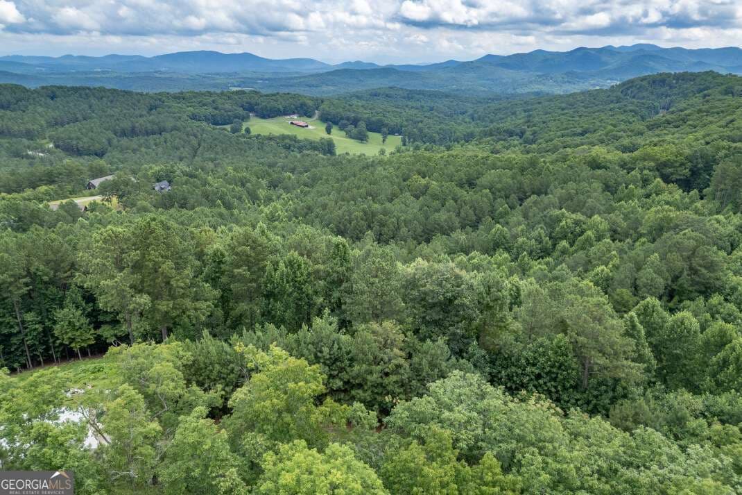 residential lot for sale at LOT 82 Thirteen Hundred, Blairsville, GA 30512 — photo 9