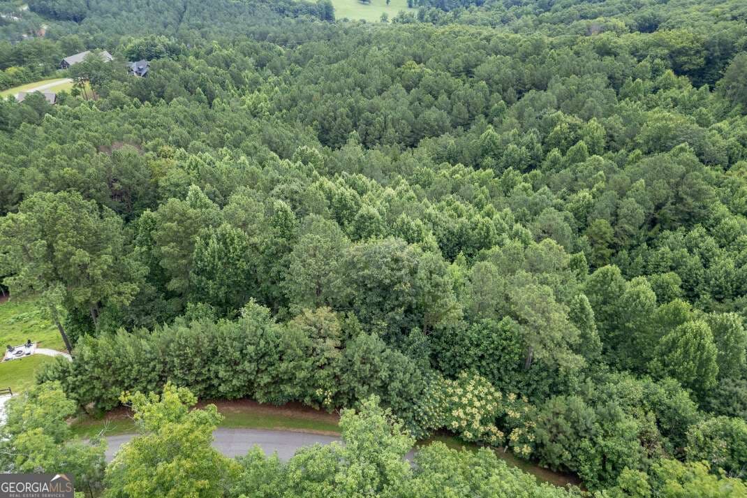 residential lot for sale at LOT 82 Thirteen Hundred, Blairsville, GA 30512 — photo 10