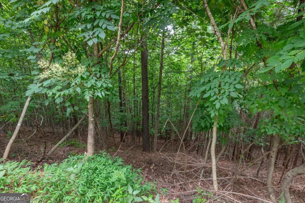 residential lot for sale at LOT 82 Thirteen Hundred, Blairsville, GA 30512 — photo 4