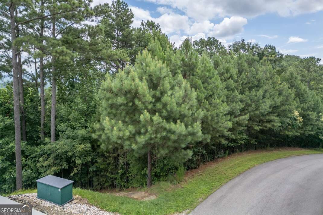 residential lot for sale at LOT 82 Thirteen Hundred, Blairsville, GA 30512 — photo 8
