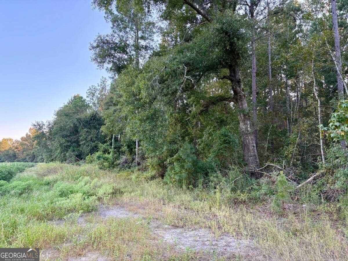 unimproved land for sale at 0 Old Moore Road 2, Portal, GA 30450 — photo 3