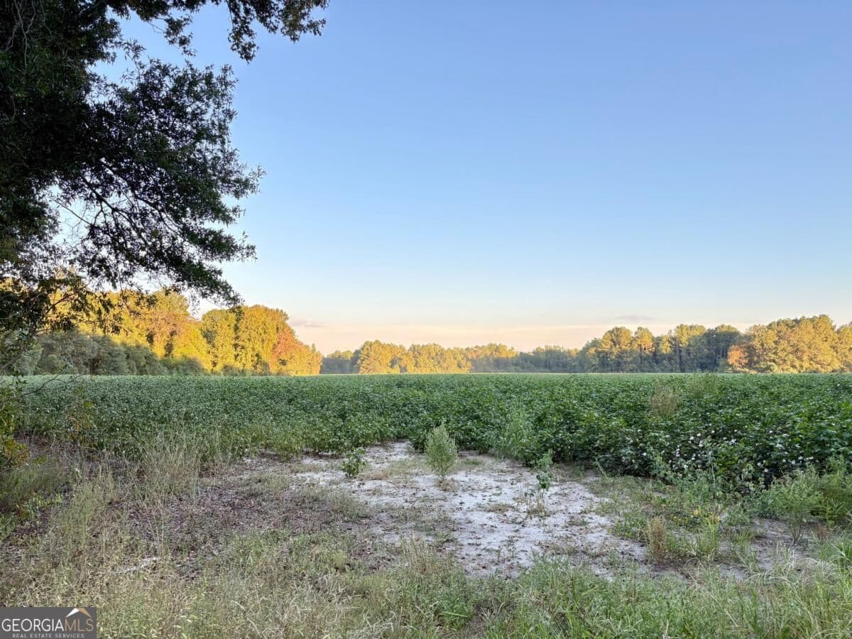 unimproved land for sale at 0 Old Moore Road 2, Portal, GA 30450 — photo 5