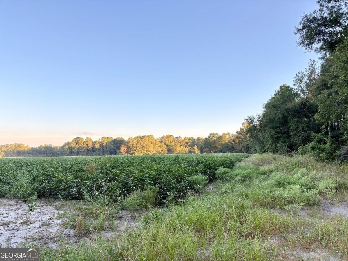 unimproved land for sale at 0 Old Moore Road 2, Portal, GA 30450 — photo 4