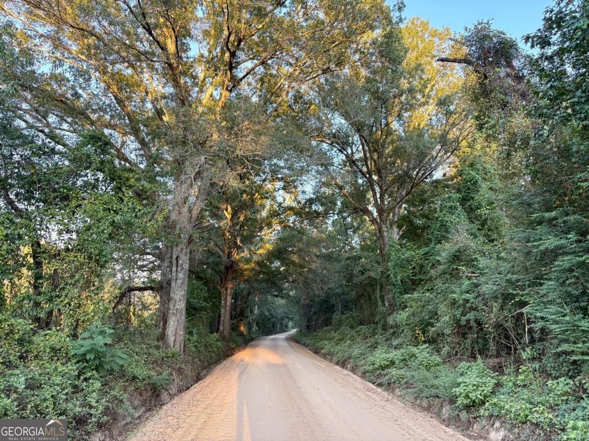 unimproved land for sale at 0 Old Moore Road 2, Portal, GA 30450 — photo 8