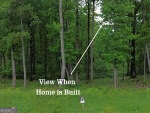 residential lot for sale at 41 High Summit Drive, Talking Rock, GA 30175 — photo 9