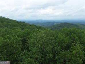 residential lot for sale at 41 High Summit Drive, Talking Rock, GA 30175 — photo 10