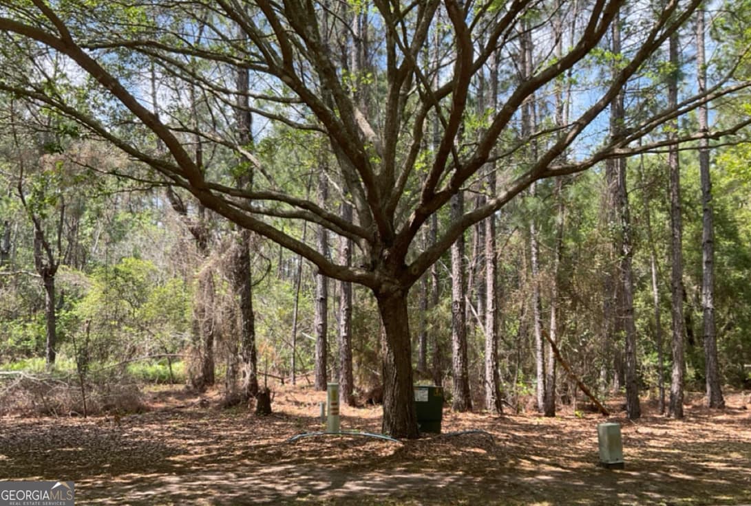 residential lot for sale at LOT 244 Lateral Buoy Lane, St. Marys, GA 31558 — photo 4