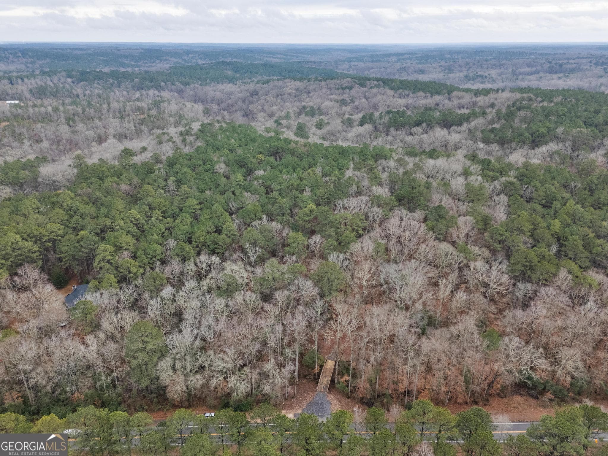 agriculture for sale at 0 S 42 Hwy, Forsyth, GA 31029 — photo 6