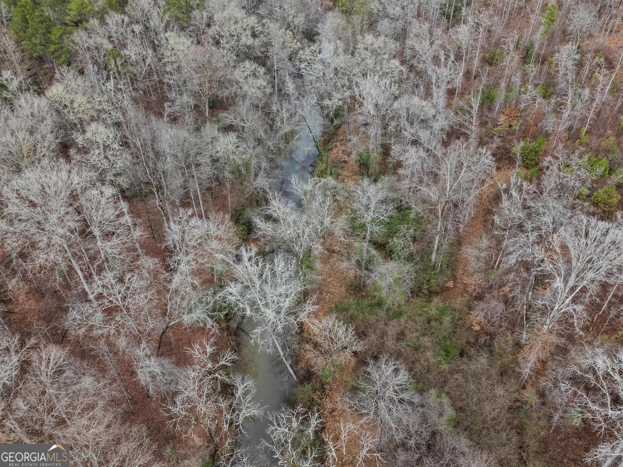 agriculture for sale at 0 S 42 Hwy, Forsyth, GA 31029 — photo 9