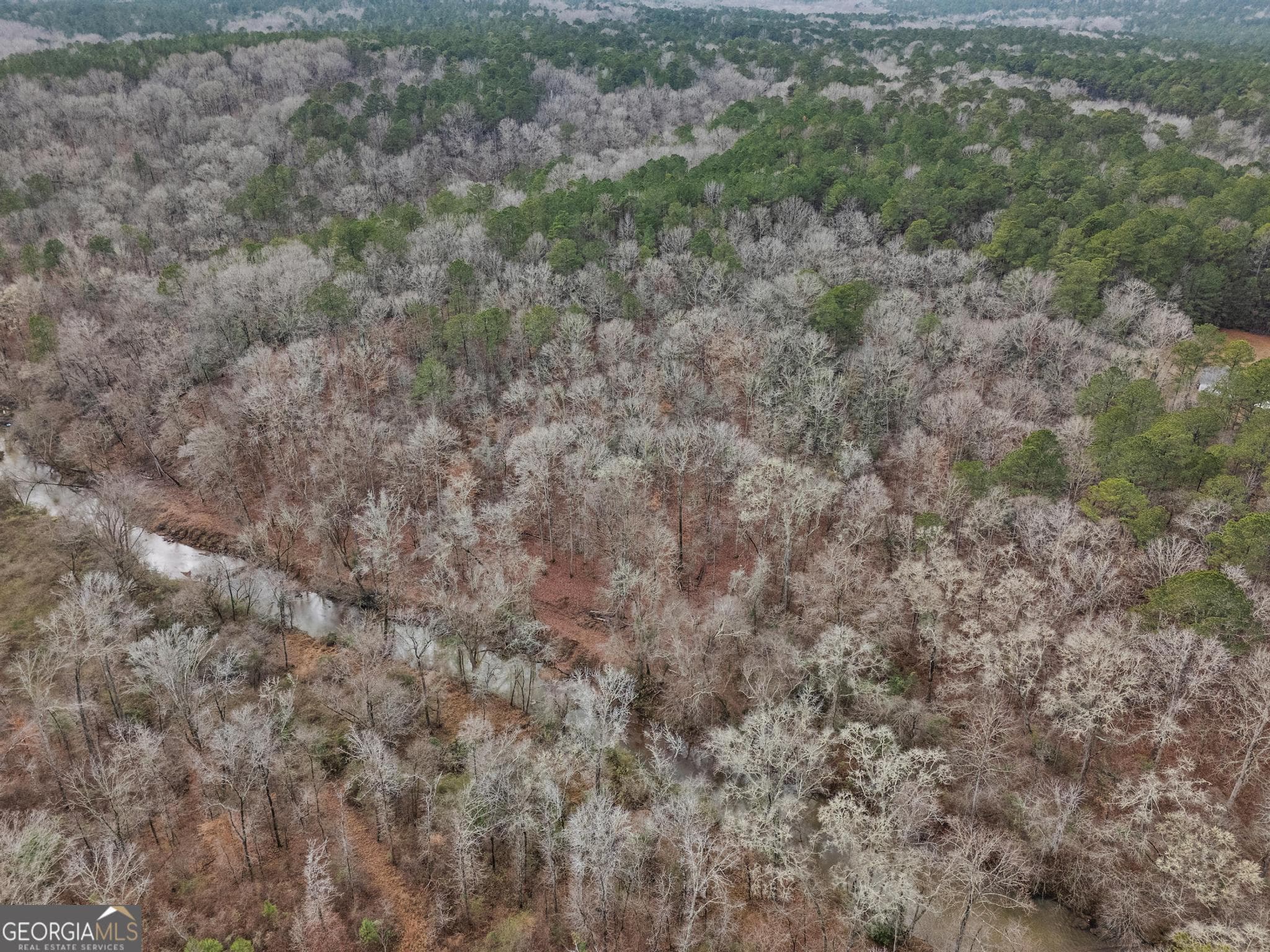 agriculture for sale at 0 S 42 Hwy, Forsyth, GA 31029 — photo 10