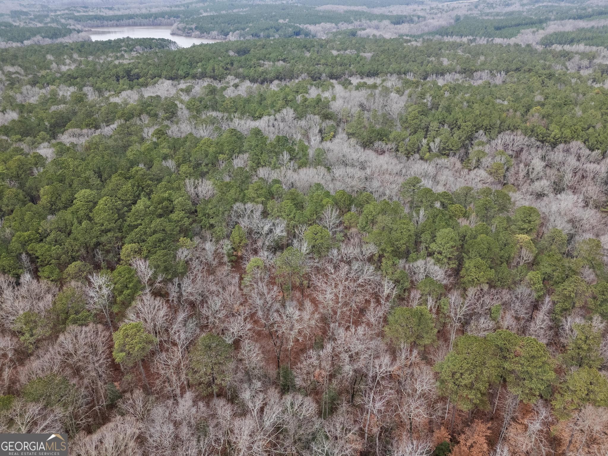 agriculture for sale at 0 S 42 Hwy, Forsyth, GA 31029 — photo 8