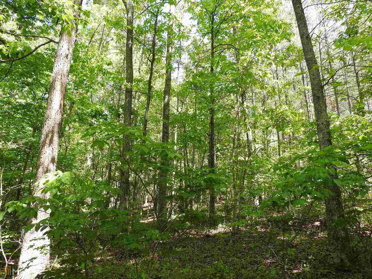 unimproved land for sale at 0 Griffin Road 5007, Cartersville, GA 30120 — photo 6