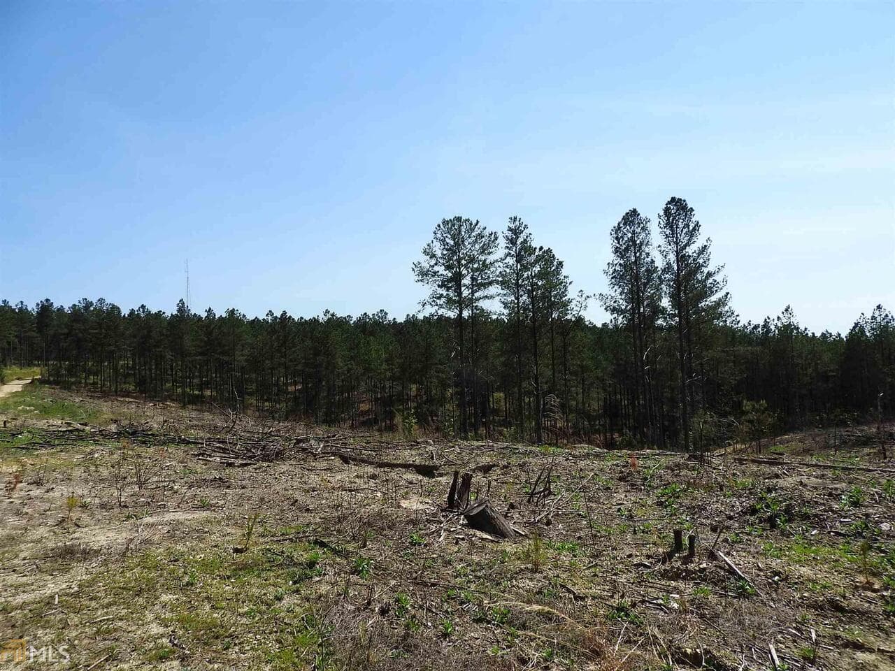 unimproved land for sale at 0 Griffin Road 5007, Cartersville, GA 30120 — photo 7