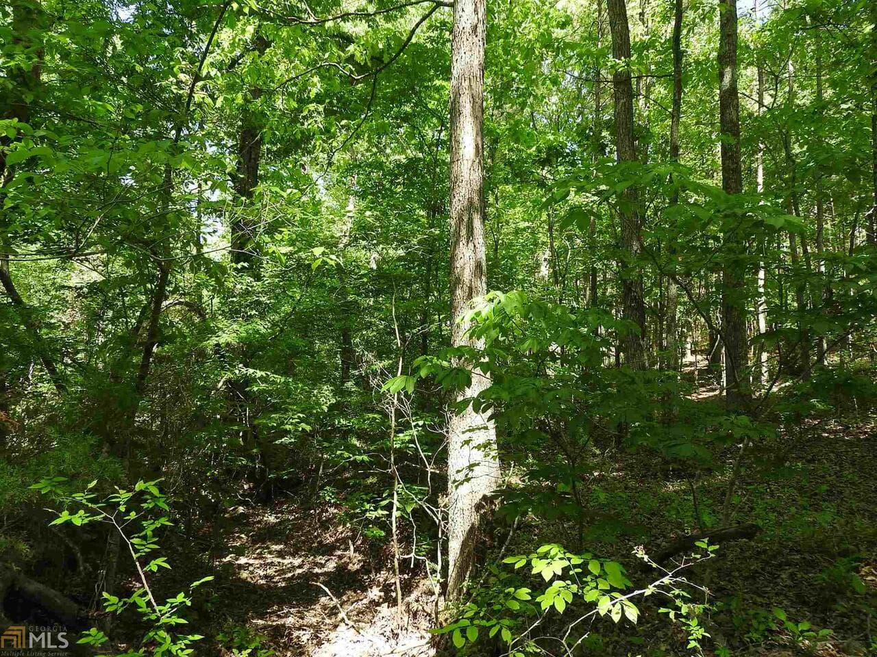 unimproved land for sale at 0 Griffin Road 5007, Cartersville, GA 30120 — photo 5