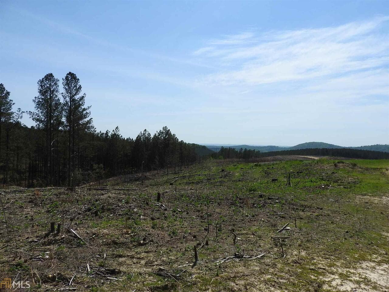 unimproved land for sale at 0 Griffin Road 5007, Cartersville, GA 30120 — photo 9
