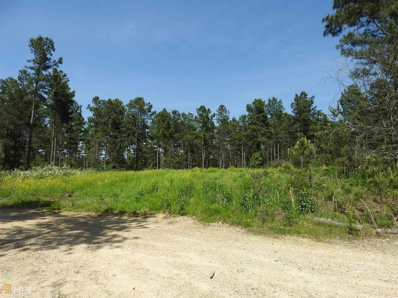 unimproved land for sale at 0 Griffin Road 5007, Cartersville, GA 30120 — photo 10