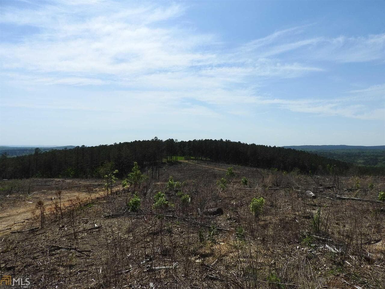 unimproved land for sale at 0 Griffin Road 5007, Cartersville, GA 30120 — photo 4