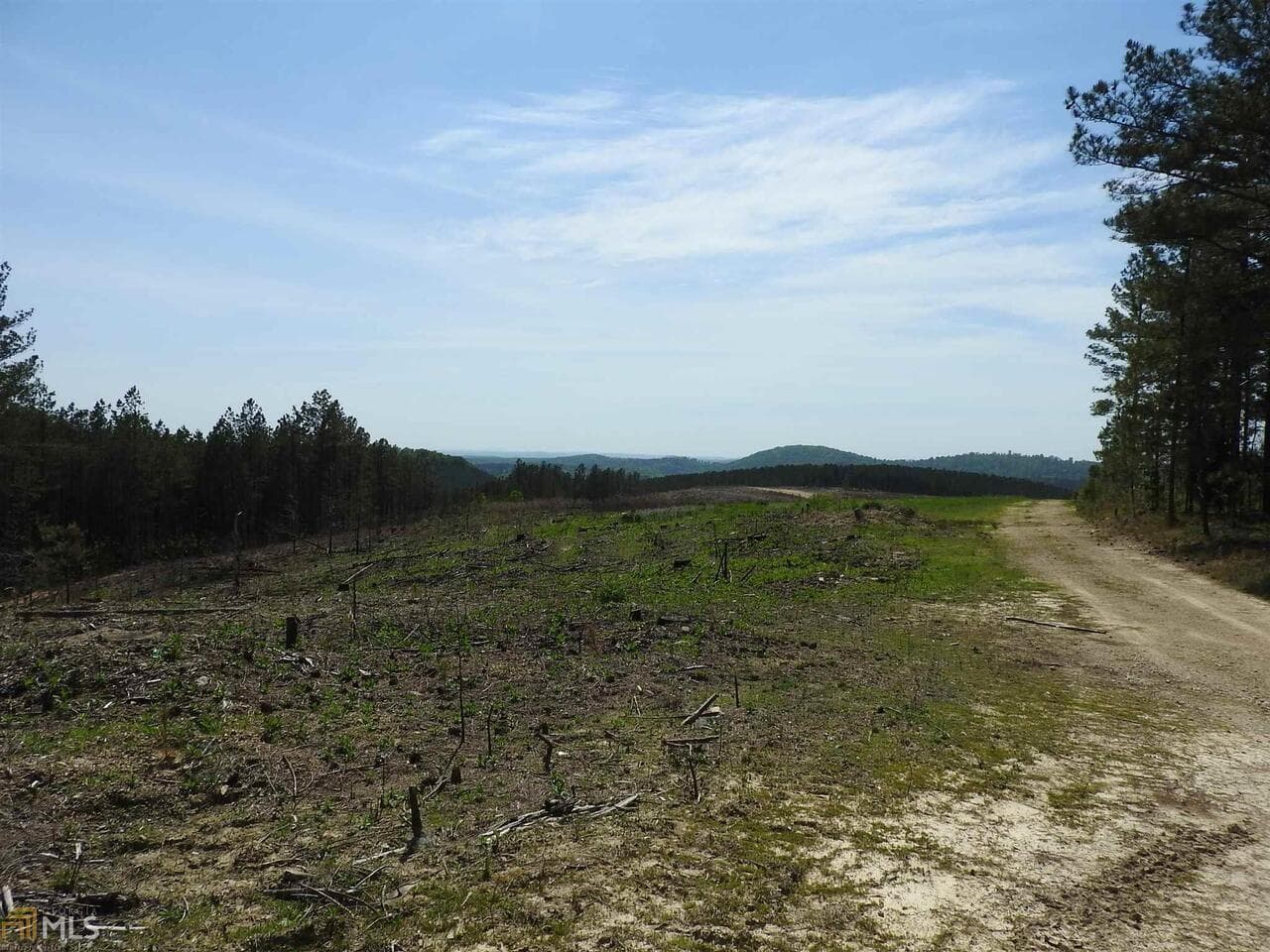 unimproved land for sale at 0 Griffin Road 5007, Cartersville, GA 30120 — photo 8
